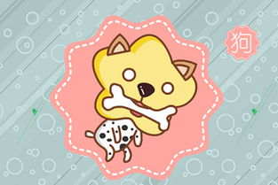 2019年1月属什么生肖:2019年1月生肖属狗?春节前后的生肖更迭规则全解析 2019年1月属什么生肖:2019年1月生肖属狗?春节前后的生肖更迭规则全解析