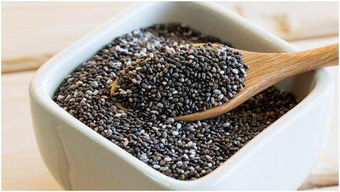 维生素b2的功效与主治:维生素B2(核黄素)你不可不知的明星营养素及其功效主治 维生素b2的功效与主治:维生素B2(核黄素)你不可不知的明星营养素及其功效主治