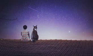 狮子座是几月的：狮子座是几月的星座？揭秘狮子座的时间范围与性格特质