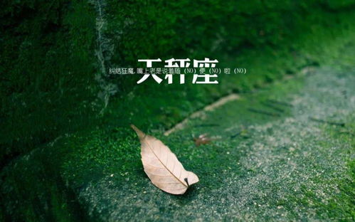 天秤座聪明的让人害怕:天秤座,披着优雅外衣的智慧利刃,为何总让人不寒而栗? 天秤座聪明的让人害怕:天秤座,披着优雅外衣的智慧利刃,为何总让人不寒而栗?