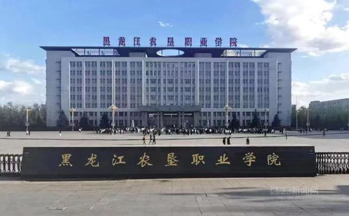 黑龙江农业工程职业学院(黑龙江农业工程职业学院怎么样) 黑龙江农业工程职业学院(黑龙江农业工程职业学院怎么样)