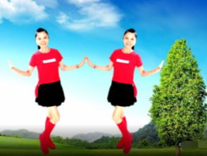 广场舞酒醉的蝴蝶16步（广场舞酒醉的蝴蝶16步视频）