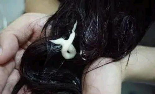 女人梦见洗头大量掉头发：梦里掉发如雪崩，醒来心慌不止，解析女性梦见洗头大量掉发的隐喻