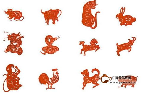 2023年属什么生肖年:2023年属兔年,运势解析与传统文化解读 2023年属什么生肖年:2023年属兔年,运势解析与传统文化解读