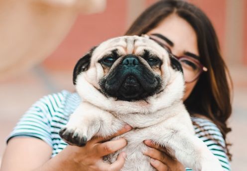 82年狗的今年必离婚:41岁属狗人2023年婚姻预警,三重危机与破局之道 82年狗的今年必离婚:41岁属狗人2023年婚姻预警,三重危机与破局之道