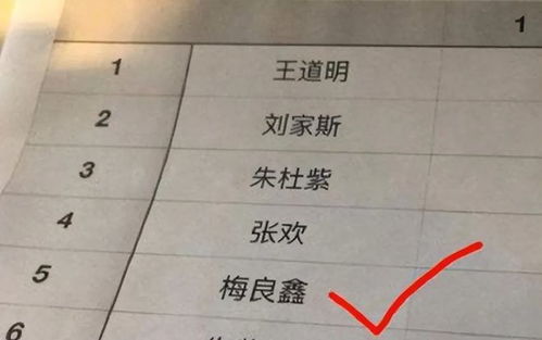 取名字的注意事项:取名字的注意事项,从音形义到文化内涵的全面指南 取名字的注意事项:取名字的注意事项,从音形义到文化内涵的全面指南
