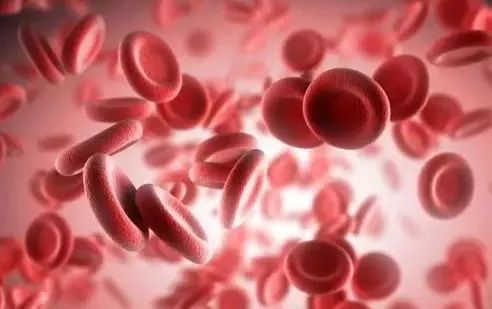 红细胞压积偏低：红细胞压积偏低，原因、影响与改善策略