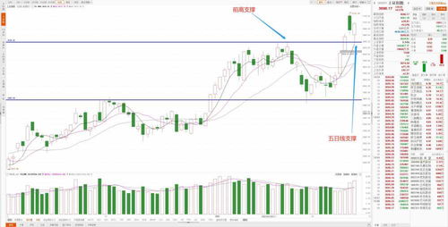 下周四大板块获投资者青睐 下周四大板块获投资者青睐