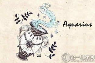 感觉水瓶女并不聪明很愚蠢:当认知差异撞上性格棱镜,关于水瓶女不聪明的误解与反思 感觉水瓶女并不聪明很愚蠢:当认知差异撞上性格棱镜,关于水瓶女不聪明的误解与反思