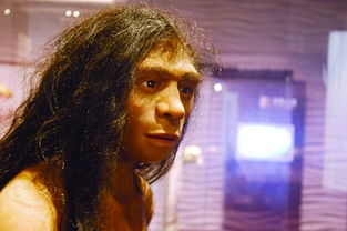 鬼节真的不能出门吗:鬼节真的不能出门吗?传统禁忌与现代理性的碰撞与解答 鬼节真的不能出门吗:鬼节真的不能出门吗?传统禁忌与现代理性的碰撞与解答