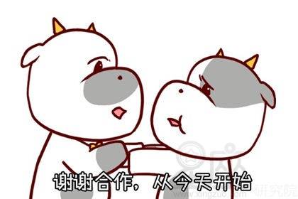 金牛男今日运势感情：金牛男今日运势感情，务实中带着浪漫，把握机会正当时！
