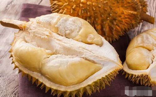 吃榴莲的十大好处:榴莲狂魔必看!吃榴莲的十大惊人好处,你绝对想不到! 吃榴莲的十大好处:榴莲狂魔必看!吃榴莲的十大惊人好处,你绝对想不到!