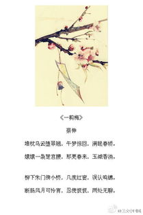 《一剪梅》歌词(寄君一剪梅歌词) 《一剪梅》歌词(寄君一剪梅歌词)