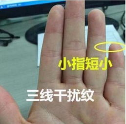 二婚才是正缘的手相:手相显示二婚才是正缘?重新解读命运密码中的二次选择 二婚才是正缘的手相:手相显示二婚才是正缘?重新解读命运密码中的二次选择