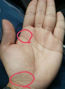 二婚才是正缘的手相:手相显示二婚才是正缘?重新解读命运密码中的二次选择 二婚才是正缘的手相:手相显示二婚才是正缘?重新解读命运密码中的二次选择