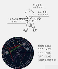 上升星座月亮查询表：揭秘你的上升星座与月亮星座，一份简单查询指南