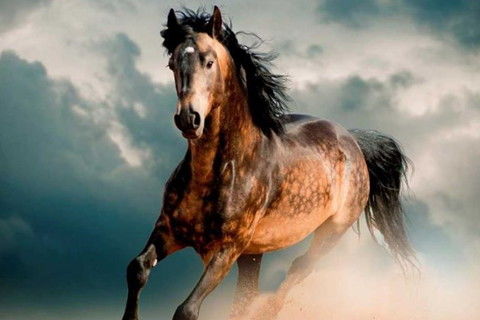 1990年属马32岁婚姻:1990年属马人32岁婚姻运势全解析,性格特质与情感经营指南 1990年属马32岁婚姻:1990年属马人32岁婚姻运势全解析,性格特质与情感经营指南