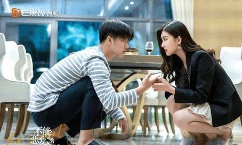 不能恋爱的秘密（不能恋爱的秘密 电视剧）