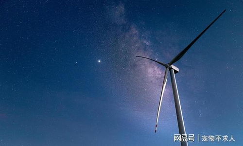 天蝎座最佳配对前五名:天蝎座最佳配对前五名,灵魂共鸣与情感平衡的完美组合 天蝎座最佳配对前五名:天蝎座最佳配对前五名,灵魂共鸣与情感平衡的完美组合