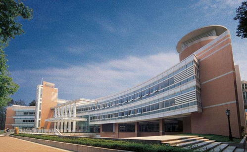 广东外语外贸大学什么档次(广东外语外贸大学是否属于211) 广东外语外贸大学什么档次(广东外语外贸大学是否属于211)