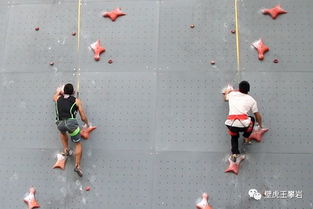 宝宝在攀岩坡上走出了逛街的感觉 宝宝在攀岩坡上走出了逛街的感觉