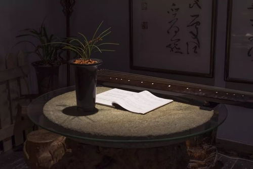 古筝名曲欣赏100首免费听(古筝名曲100首播放) 古筝名曲欣赏100首免费听(古筝名曲100首播放)