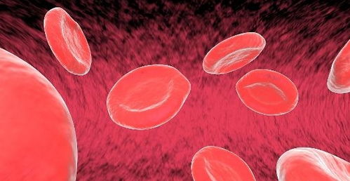 十种溶血栓最强的中药:最强溶栓中药,十种疏通血管、溶解血栓的中药推荐 十种溶血栓最强的中药:最强溶栓中药,十种疏通血管、溶解血栓的中药推荐