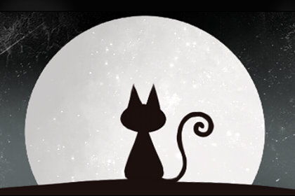 女人梦见猫预示着什么：女性梦见猫的深层寓意，传统文化与心理学的双重启示