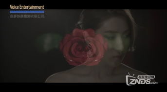 高清mv(高清mv音乐资源网) 高清mv(高清mv音乐资源网)