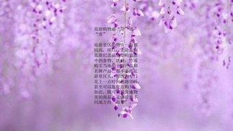 下半年姻缘最多的生肖:下半年桃花运爆棚!这几个生肖姻缘最多,单身族速看! 下半年姻缘最多的生肖:下半年桃花运爆棚!这几个生肖姻缘最多,单身族速看!