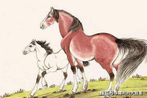 属马女一九年结婚吉日：属马女2019年结婚吉日，天赐良缘，红鸾星动
