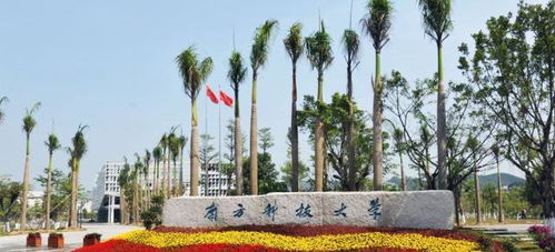 南方科技大学招生网(南方科技大学本科生招生系统) 南方科技大学招生网(南方科技大学本科生招生系统)