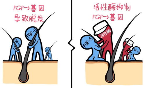 脱发怎么办:脱发怎么办?全面解析与科学应对指南 脱发怎么办:脱发怎么办?全面解析与科学应对指南