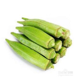 吃秋葵的十大禁忌:吃秋葵的十大禁忌,全面解析,健康饮食需谨慎 吃秋葵的十大禁忌:吃秋葵的十大禁忌,全面解析,健康饮食需谨慎