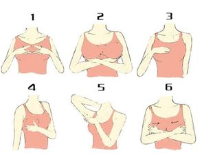 如何科学丰胸:科学丰胸,健康塑形,由内而外的美丽策略 如何科学丰胸:科学丰胸,健康塑形,由内而外的美丽策略
