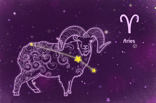 白羊座和什么座最配第三名：白羊座最佳伴侣Top3，第三名竟是TA！性格互补成就长久关系