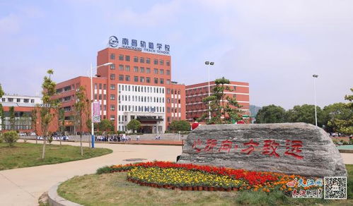 郑州公办3+2学校有哪些(郑州公办三加二学校哪个好) 郑州公办3+2学校有哪些(郑州公办三加二学校哪个好)
