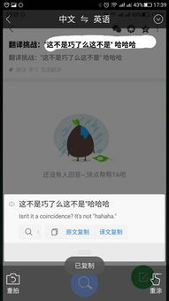 coincidence（coincidence英语）