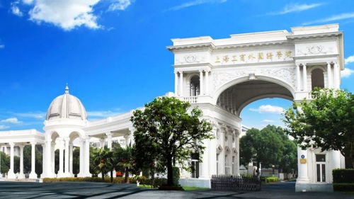 上海工商外国语职业学院学费(上海工商外国语职业学院怎么样) 上海工商外国语职业学院学费(上海工商外国语职业学院怎么样)