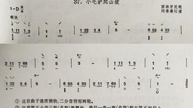 棠梨煎雪歌词(棠梨煎雪歌词图片) 棠梨煎雪歌词(棠梨煎雪歌词图片)