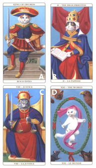 塔罗牌摩洛哥：神秘摩洛哥，塔罗牌中的异域命运