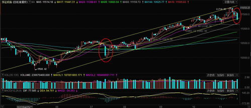 “新贵”大跌,“老将”护盘,如何面对突如其来的股市调整 “新贵”大跌,“老将”护盘,如何面对突如其来的股市调整