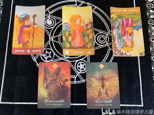 塔罗牌ll：塔罗牌，神秘面纱下的自我探索