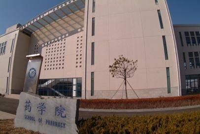 烟台大学研究生院(烟台大学研究生院电话) 烟台大学研究生院(烟台大学研究生院电话)