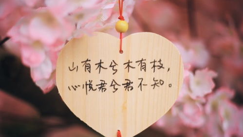 姻缘大人请留步爱情句子:姻缘大人请留步,爱情句子里的那些不期而遇 姻缘大人请留步爱情句子:姻缘大人请留步,爱情句子里的那些不期而遇