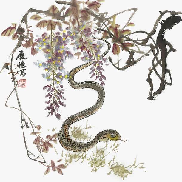 十蛇九富的出生时辰：十蛇九富，属蛇人命运与出生时辰的玄机解析