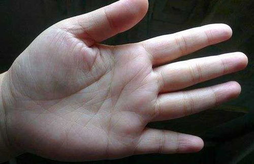 手相知识大全图解:手相知识大全图解,从基础纹路到命运密码的完整指南 手相知识大全图解:手相知识大全图解,从基础纹路到命运密码的完整指南