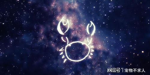 如何追巨蟹座女生:温暖与真诚,解锁巨蟹座女生的心的三大黄金法则 如何追巨蟹座女生:温暖与真诚,解锁巨蟹座女生的心的三大黄金法则