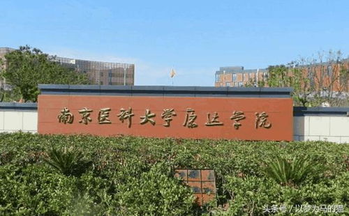 南京医科大学康达学院(南京医科大学康达学院官网) 南京医科大学康达学院(南京医科大学康达学院官网)