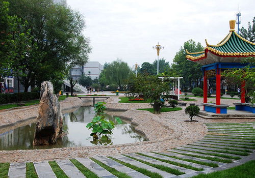 石家庄技术职业学院（石家庄技术职业学院学费）